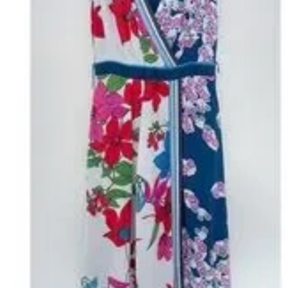 Anthropologie Floral  Dress in Red and Blue
